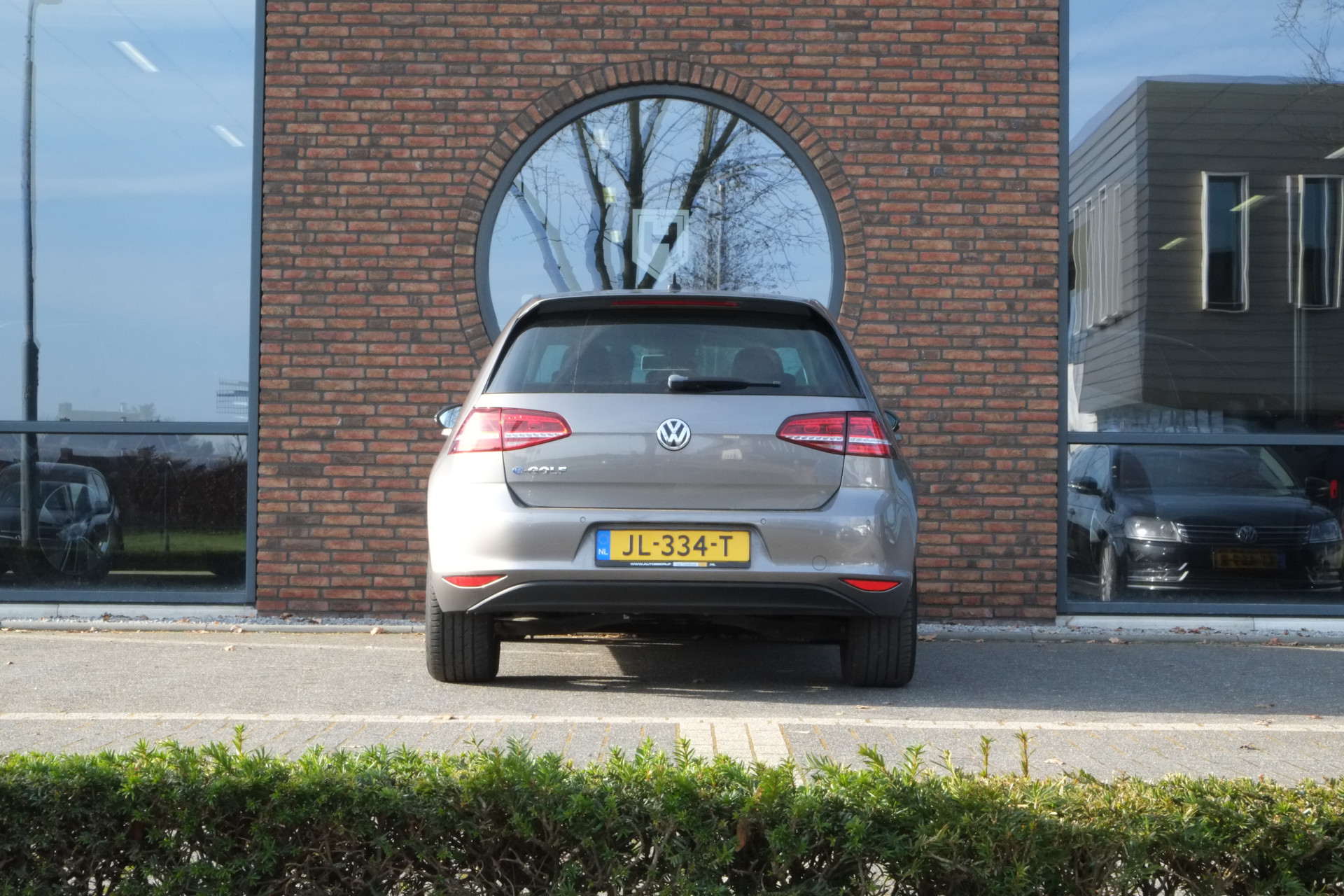 36957483-5.jpg