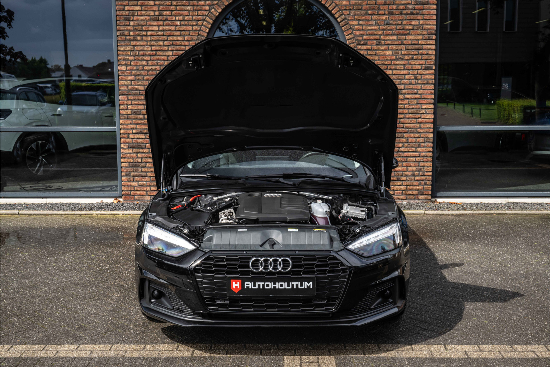 38875714-26.jpg