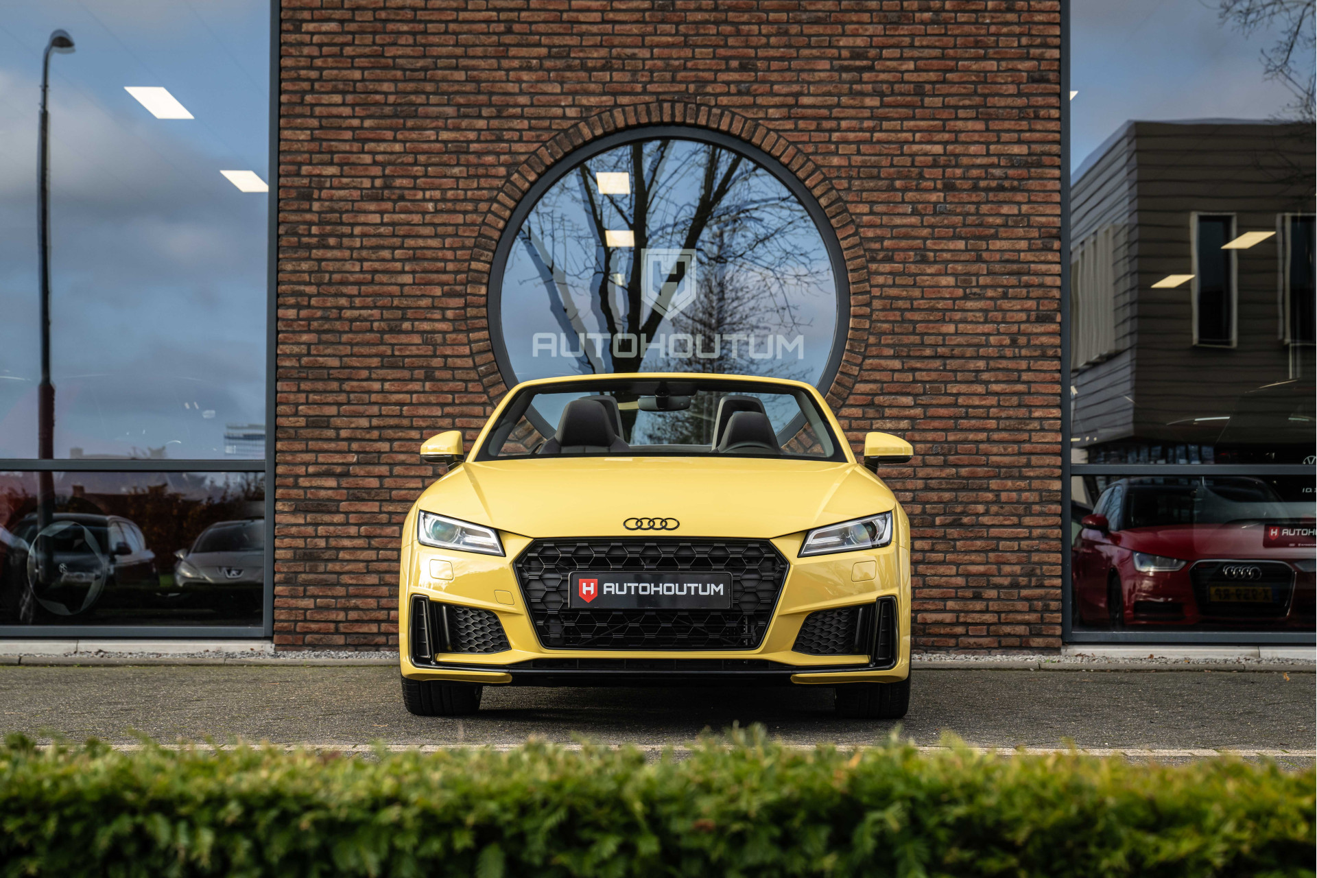 40378952-5.jpg