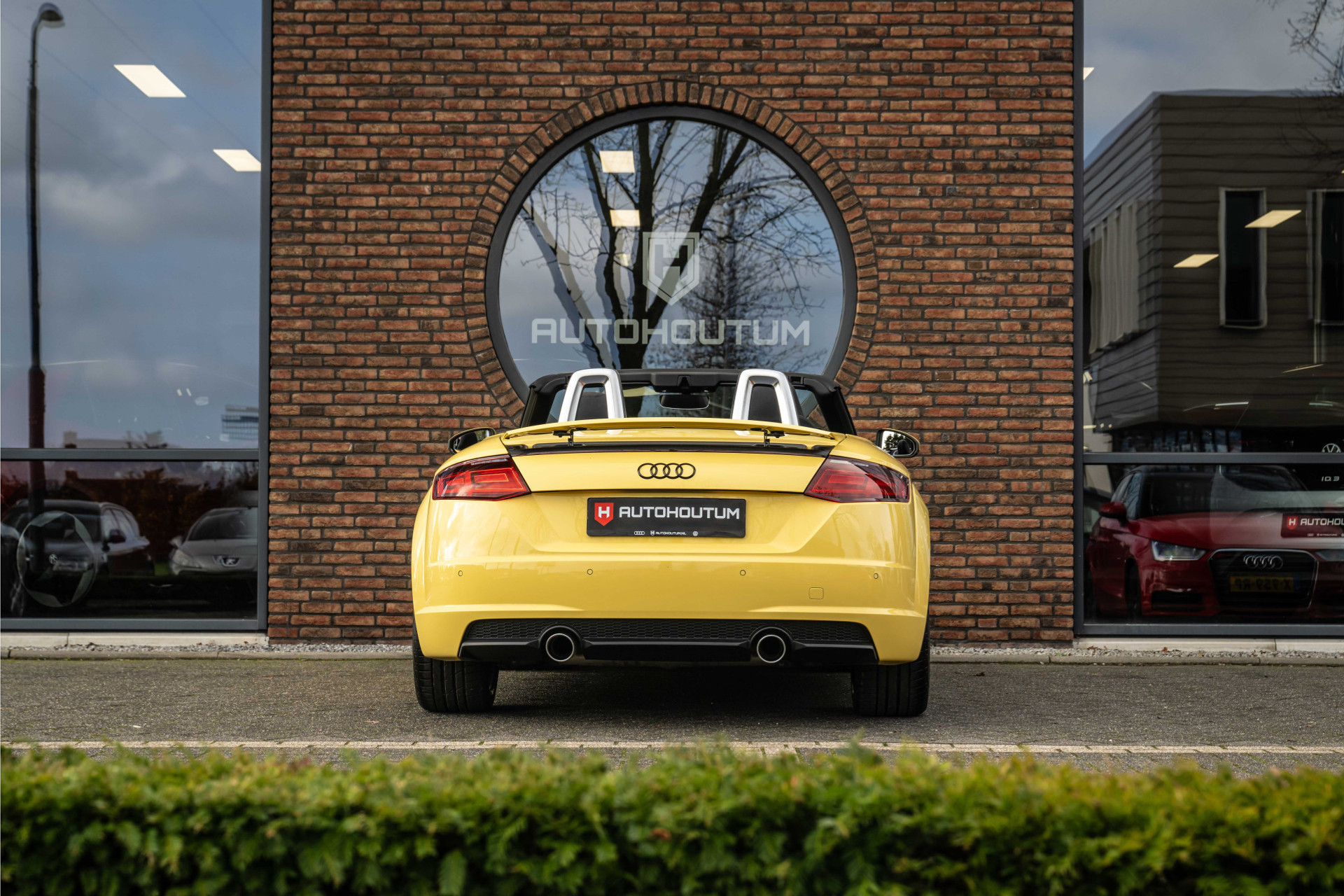 40378952-6.jpg