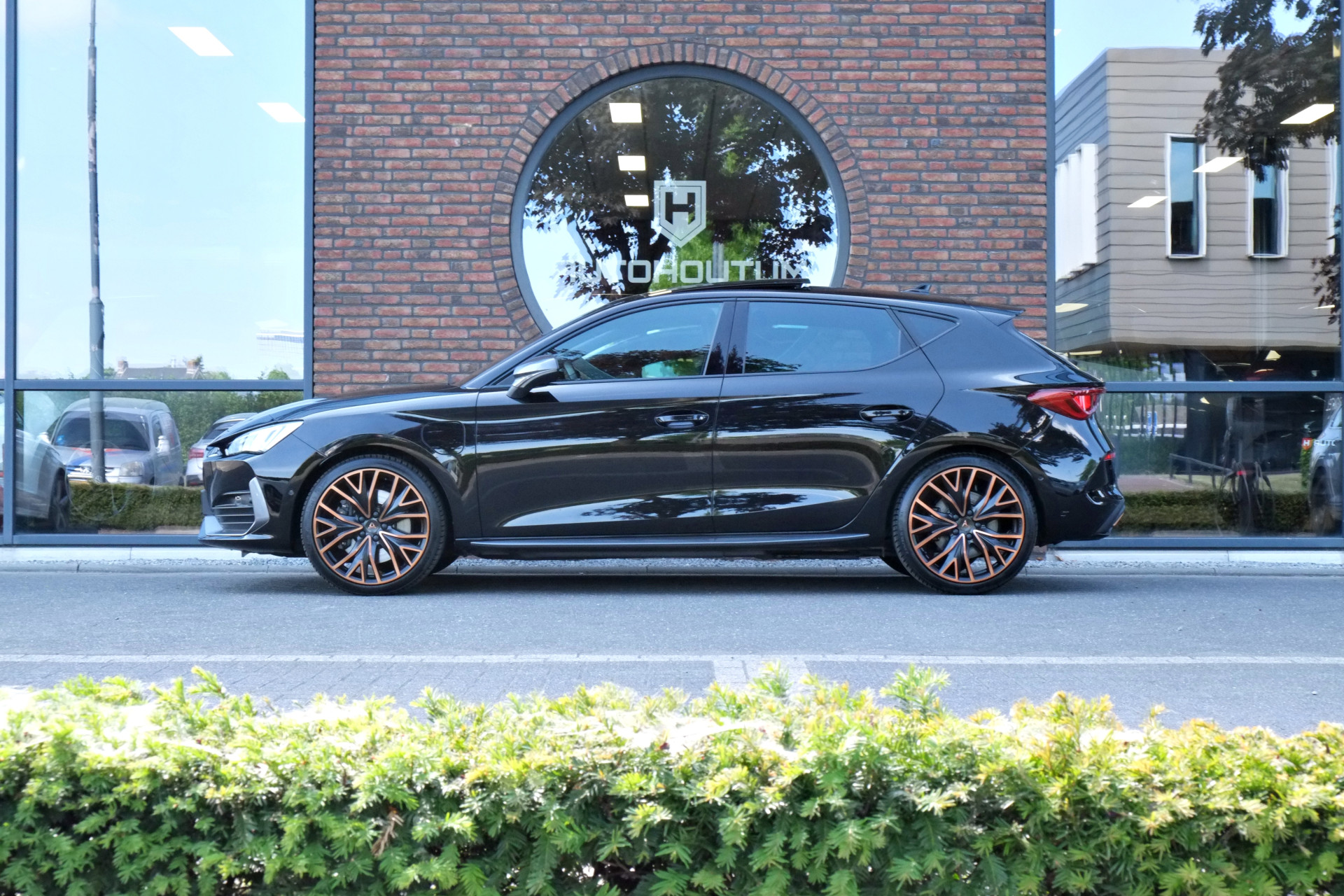 45073458-9.jpg